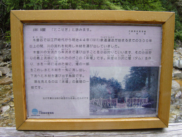 赤沢森林鉄道,赤沢自然休養林