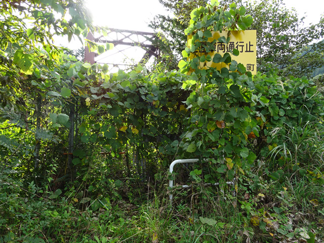 ����X�ѓS��,�ѓS,�p����,�O����,���c�싴��,���S��,��_�ϑ�,����