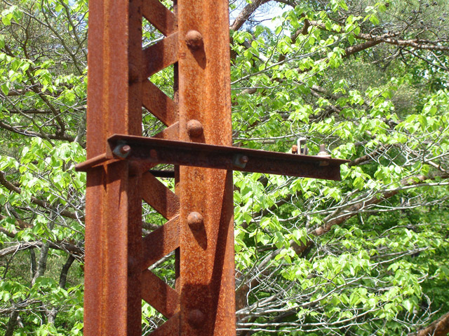 ����X�ѓS��,�ѓS,�p����,�p��,���c�싴��,�v���b�g�g���X,���̓u���b�W