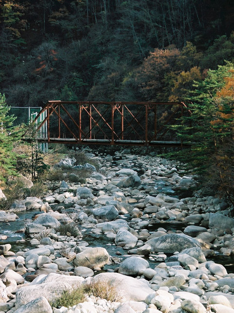 ����X�ѓS��,�ѓS,�p����,�p��,���c�싴��,�v���b�g�g���X,���͋������쏊