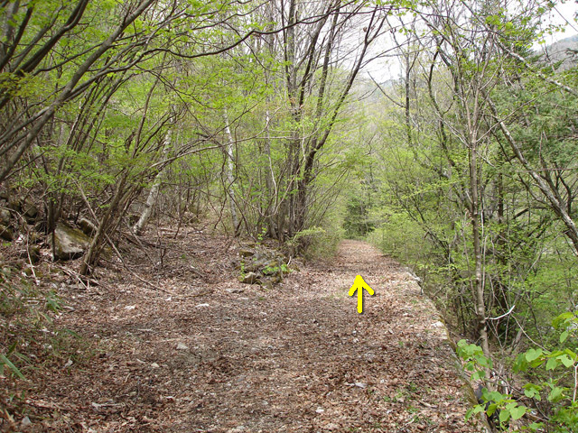 ����X�ѓS��,�ѓS,�p����,�O����,�p��,�ؑ],�㏼