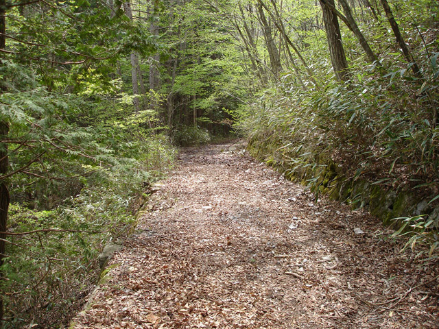 ����X�ѓS��,�ѓS,�p����,�O����,�㏼�^�A�c�я�,�ؑ]�X