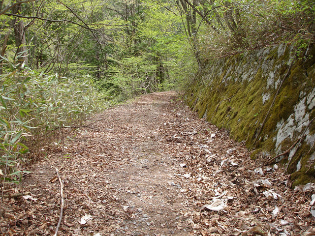 ����X�ѓS��,�ѓS,�p����,�O����,�㏼�^�A�c�я�,�ؑ]�X