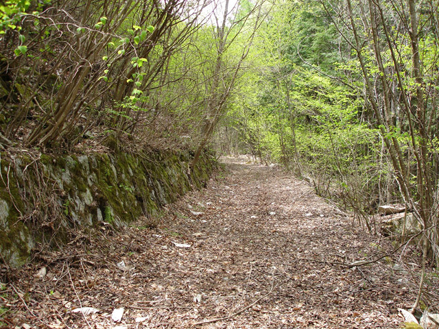 ����X�ѓS��,�ѓS,�p����,�O����,�㏼�^�A�c�я�,�ؑ]�X