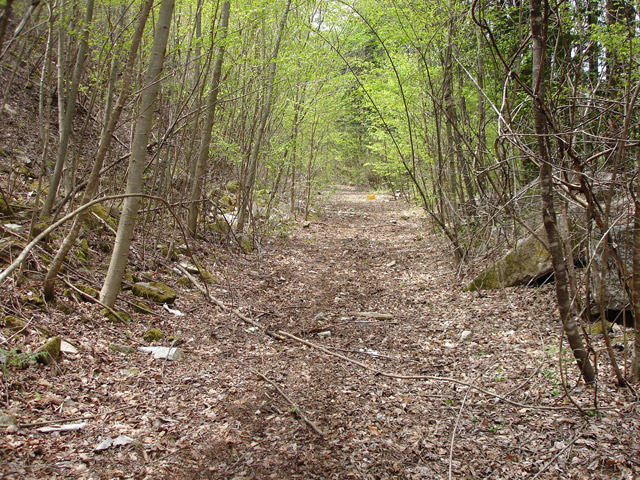 ����X�ѓS��,�ѓS,�p����,�O����,�㏼�^�A�c�я�,�ؑ]�X