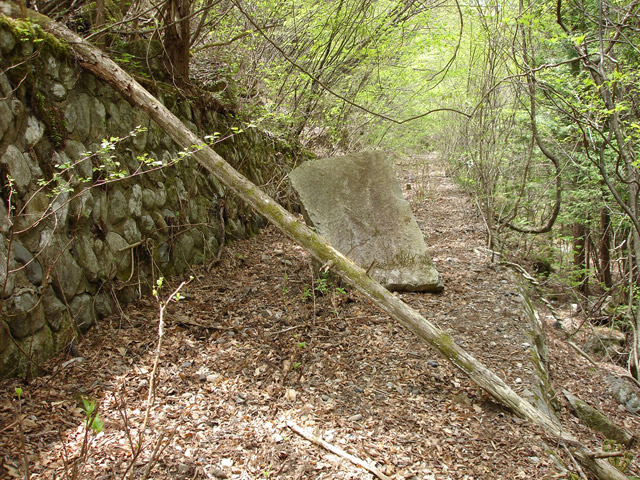 ����X�ѓS��,�ѓS,�p����,�O����,�㏼�^�A�c�я�,����