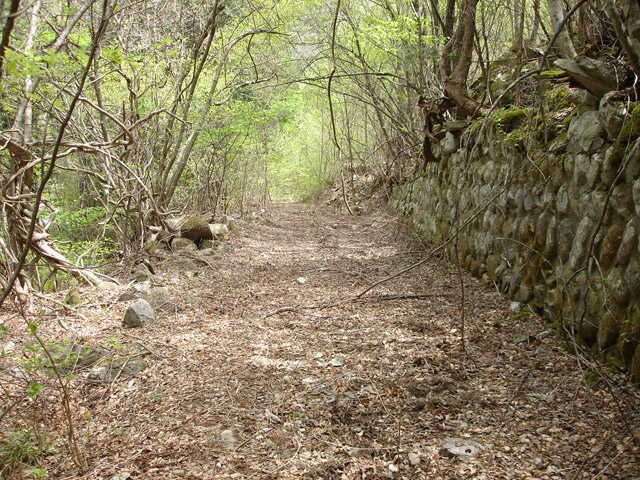 ����X�ѓS��,�ѓS,�p����,�O����,�Ί_,�ؑ]�X