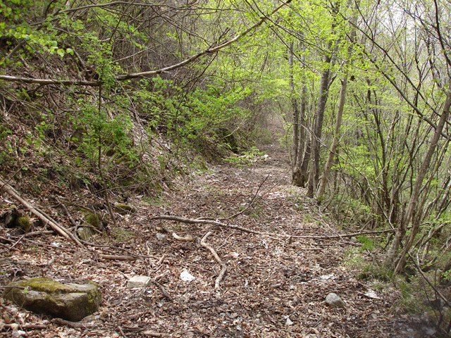 ����X�ѓS��,�ѓS,�p����,�O����,�㏼�^�A�c�я�,�ؑ]�X