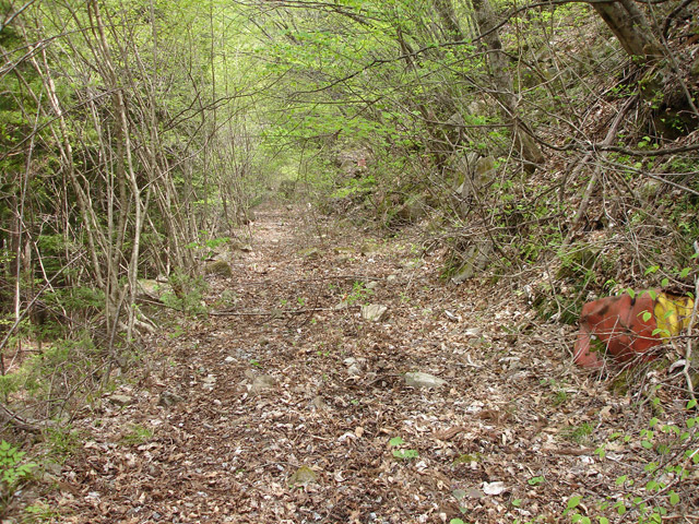 ����X�ѓS��,�ѓS,�p����,�O����,�㏼�^�A�c�я�,�ؑ]�X