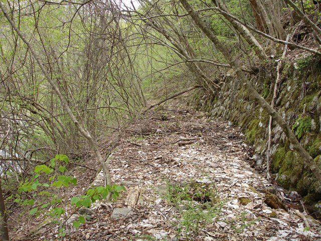 ����X�ѓS��,�ѓS,�p����,�O����,�㏼�^�A�c�я�,�ؑ]�X