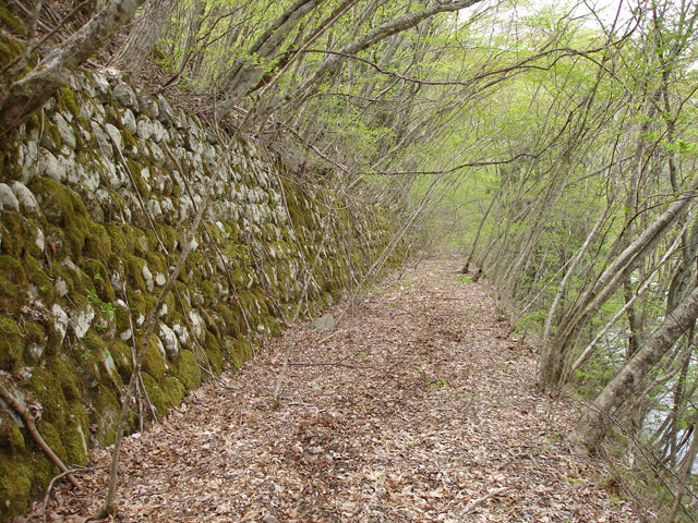 ����X�ѓS��,�ѓS,�p����,�O����,�㏼�^�A�c�я�,�ؑ]�X