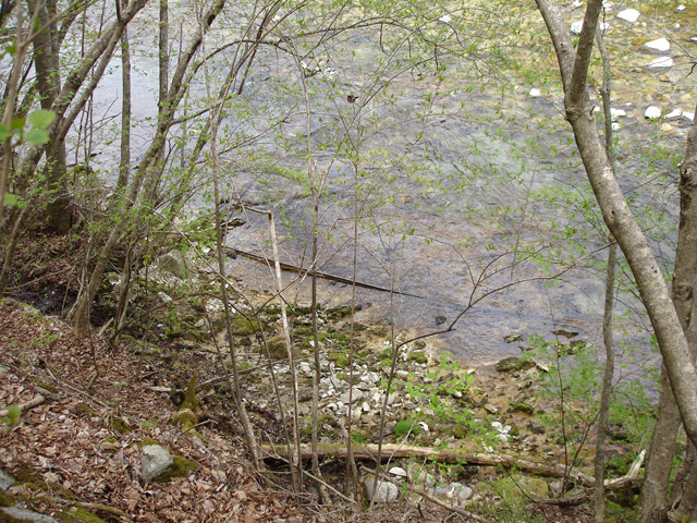 ����X�ѓS��,�ѓS,�p����,�O����,���[��,���H