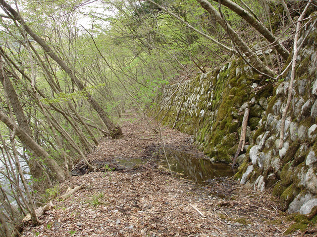 ����X�ѓS��,�ѓS,�p����,�O����,�㏼�^�A�c�я�,�ؑ]�X