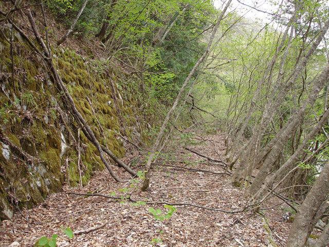 ����X�ѓS��,�ѓS,�p����,�O����,����,�H��,�Ί_