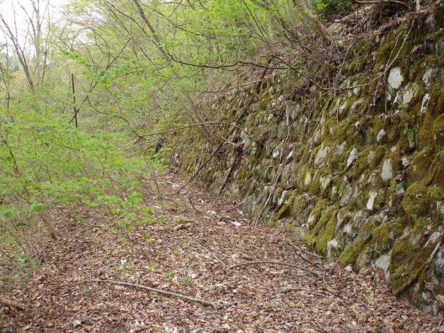 ����X�ѓS��,�ѓS,�p����,�O����,�㏼�^�A�c�я�,�ؑ]�X