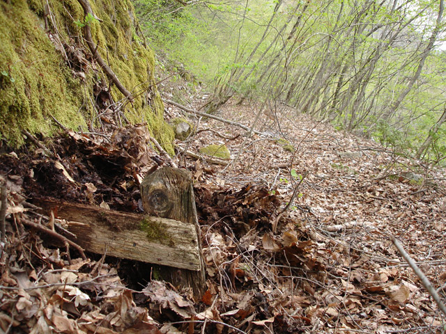 ����X�ѓS��,�ѓS,�p����,�O����,���z�W,�W��,�㏼�^�A�c�я�