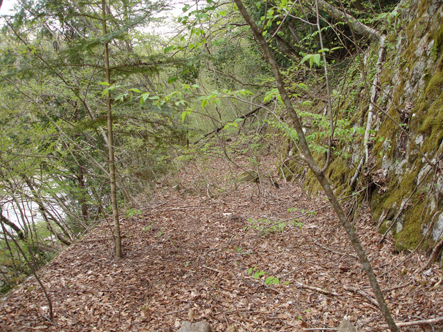 ����X�ѓS��,�ѓS,�p����,�O����,�㏼�^�A�c�я�,�ؑ]�X