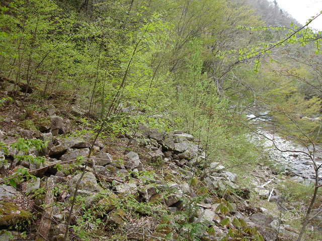 ����X�ѓS��,�ѓS,�p����,�O����,��������,�y�Η�,�ؑ]�X