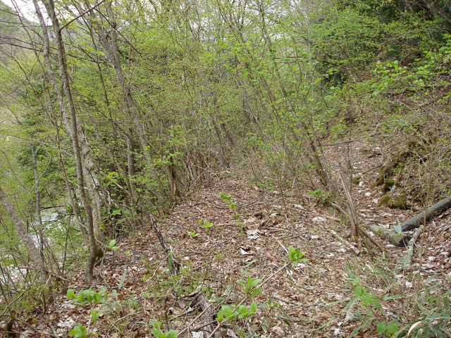 ����X�ѓS��,�ѓS,�p����,�O����,�㏼�^�A�c�я�,�ؑ]�X