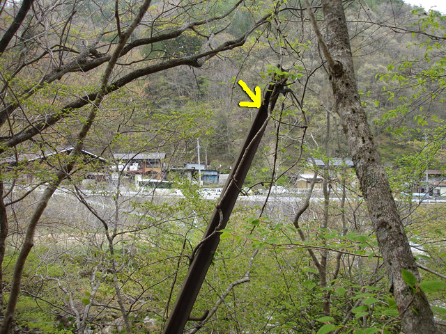 ����X�ѓS��,�ѓS,�p����,�O����,�ʐM��,���[����,����c�ы�