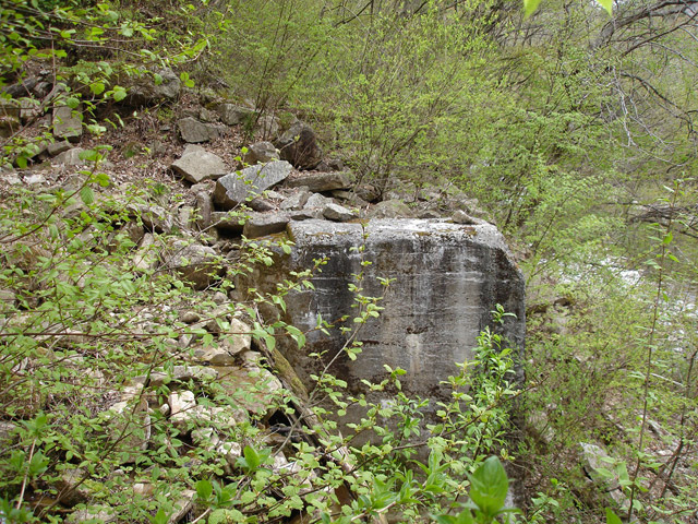 ����X�ѓS��,�ѓS,�p����,�O����,�����싴��,�S��,�X�y�b�N