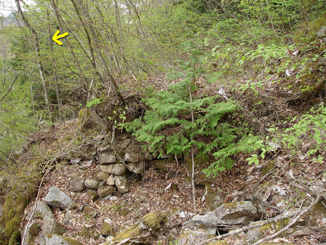 ����X�ѓS��,�ѓS,�p����,�O����,�㏼�^�A�c�я�,�����싴��