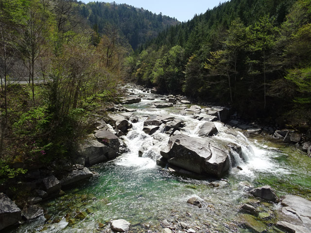 ����X�ѓS�� �ѓS �p���� ��ґ� ��ҋ� �k�� �㏼��