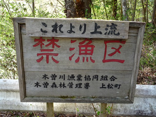 ����X�ѓS�� �ѓS �p���� ��ґ� ��ҋ� �֋��� �ؑ]�싙�Ƌ����g��