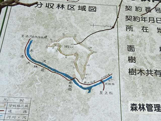 ����X�ѓS�� �ѓS �p���� ��ґ� ���L�� �ԑ�ѓ� �n�}