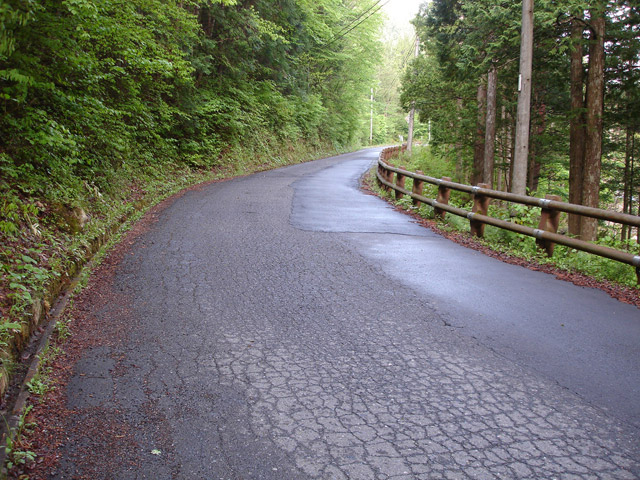 ����X�ѓS�� �ѓS �p���� �l���򋴗� �Ȑ� �؍މ^���O���� �㏼�^�A�c�я�