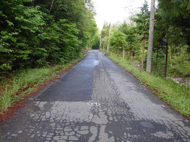 ����X�ѓS�� �ѓS �p���� �l���򋴗� �H�� �؍މ^���O���� �ԓ���