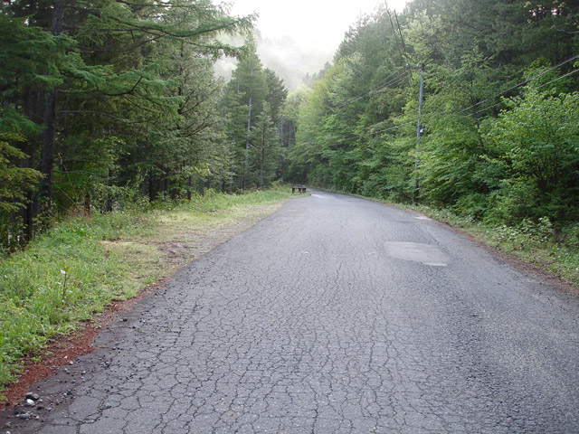 ����X�ѓS�� �ѓS �p���� �؍މ^���O���� �㏼�^�A�c�я� ���L�� 2�t�B�[�g6�C���`