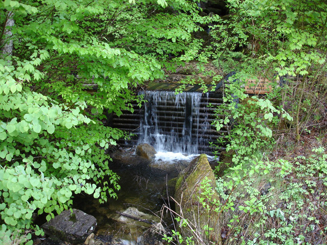 �ؑ]�X�ѓS������� �ѓS �p���� ��O�Y�򋴗� ���� �؍މ^���O���� �㏼�^�A�c�я�