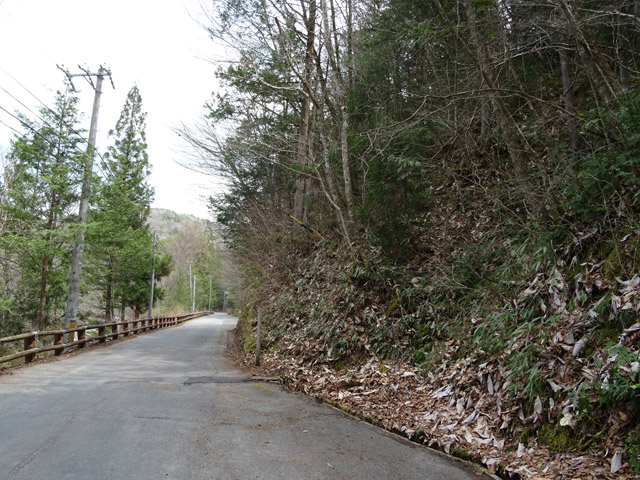 �ؑ]�X�ѓS������� �ѓS �p���� ��O�Y�򋴗� �؍މ^���O���� ����c�ы� �I�X�̐X