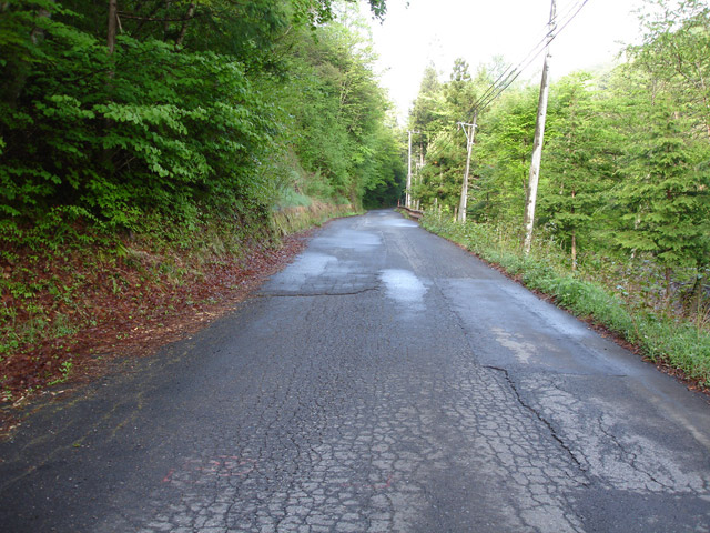 �ؑ]�X�ѓS������� �ѓS �p���� ��O�Y�򋴗� �؍މ^���O���� �����X�ъǗ��� ����ѓ�