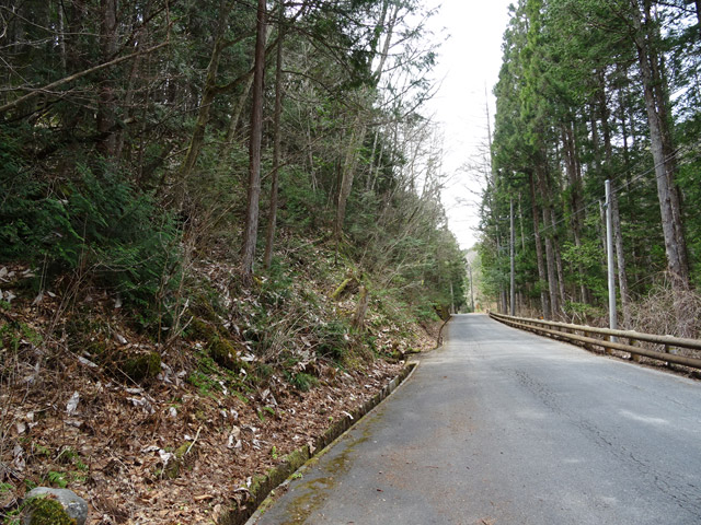 �ؑ]�X�ѓS������� �ѓS �p���� ��O�Y�򋴗� �؍މ^���O���� �����ԑ�� �ԑ�ѓ�