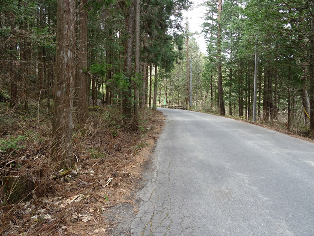 �ؑ]�X�ѓS������� �ѓS �p���� �㏼�^�A�c�я� �g���b�R�O���� �����ԑ�� �H��