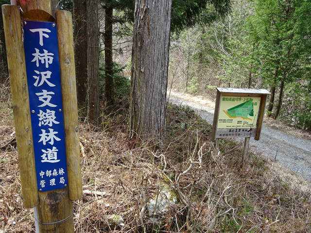 �ؑ]�X�ѓS������� �ѓS �p���� �㏼�^�A�c�я� �g���b�R�O���� ���`��x���ѓ� �����X�ъǗ���