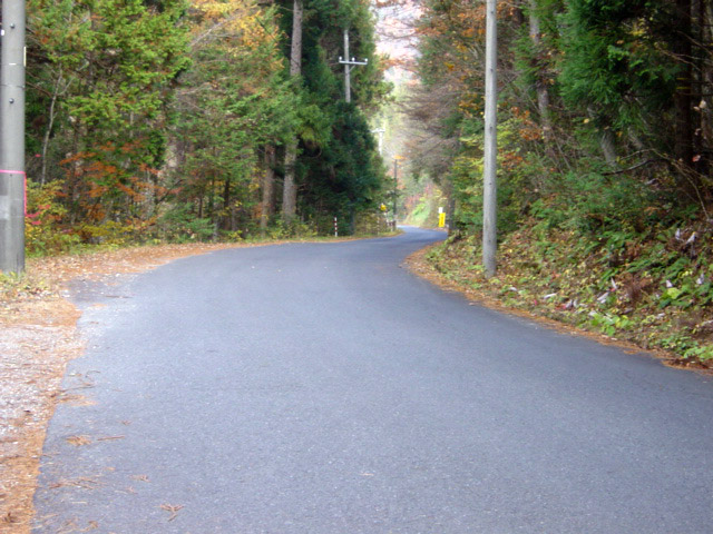 �ؑ]�X�ѓS������� �ѓS �p���� �㏼�� �؍މ^���O���� �ѓ� �I�X�̐X