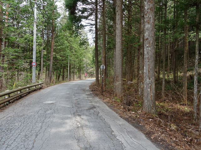 ����X�ѓS�� �ѓS �p���� �؍މ^���O���� �P�{��ԏ� ���L�� �㏼�^�A�c�я�