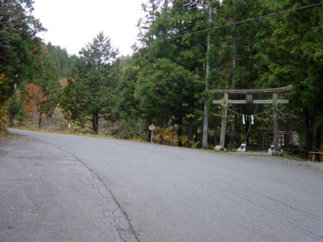 ����X�ѓS�� �ѓS �p���� �i���[�O���� �P�{��ԏ� ���L�� �㏼��