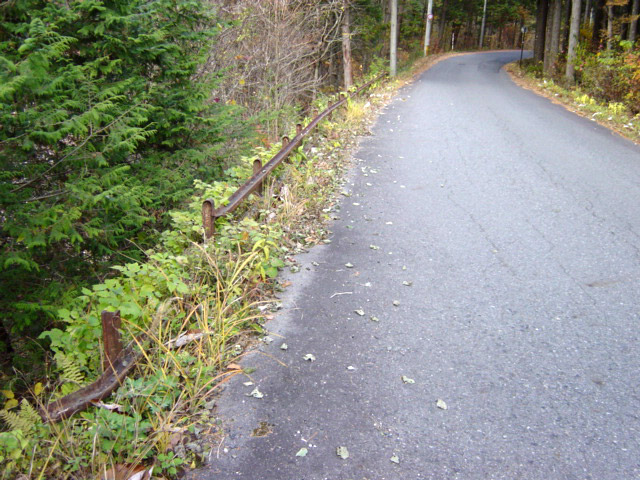 ����X�ѓS�� �ѓS �p���� �i���[�O���� �P�{��ԏ� ���[���� �ы�