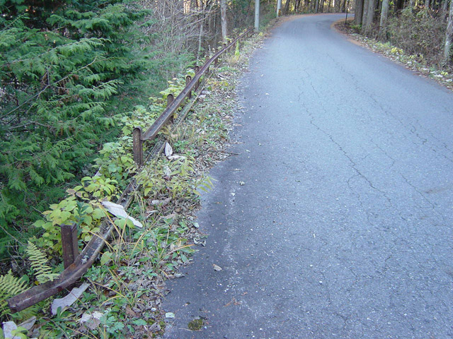 ����X�ѓS�� �ѓS �p���� �i���[�O���� �P�{��ԏ� ���[���� �K�[�h���[��