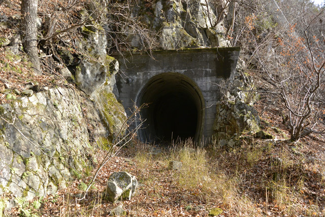 王滝森林鉄道,林鉄,廃線跡,二子持トンネル,隧道,定点観測,付替え線