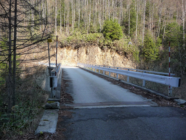 ����X�ѓS��,�T�J�T�}�J����,�������܋�