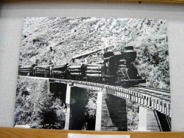 ����X�ѓS��,�T�J�T�}�J����,�{�[���h�E�B�����C�@�֎�,�^�ޗ��