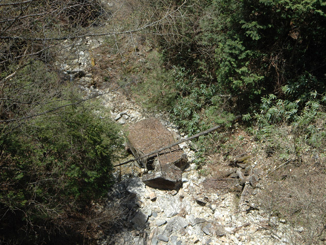 ����X�ѓS��,�T�J�T�}�J����