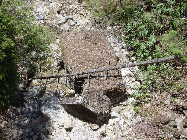 ����X�ѓS��,�T�J�T�}�J����