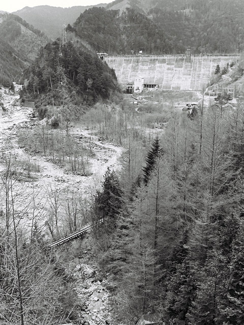 ����X�ѓS��,�T�J�T�}�J����