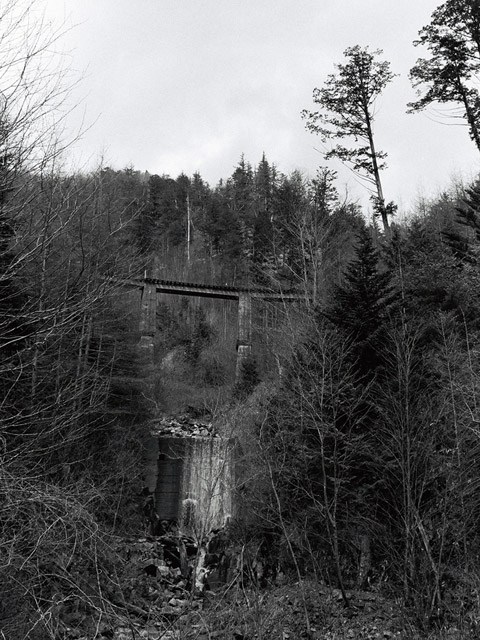 ����X�ѓS��,�T�J�T�}�J����